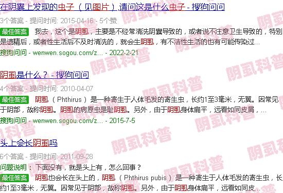 汕头阴虱虫子图片