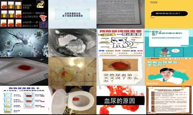 汕头前列腺尿血怎么办
